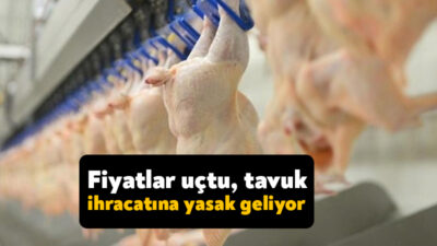 Ticaret Bakanlığı'nın, tavuk ihracatına yasak getirmeyi de kapsayan bir dizi