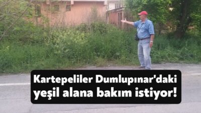 Kartepe'nin huzurlu sakinleri için Dumlupınar Mahallesi Cihan Sokak'ta bulunan yeşil
