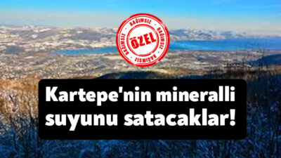 Resmi Gazete'nin bugünkü sayısında Kocaeli Yatırım İzleme Koordinasyon Başkanlığı, Doğal