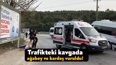Gebze'de maddi hasarlı trafik kazasının ardından çıkan kavgada ağabey ve