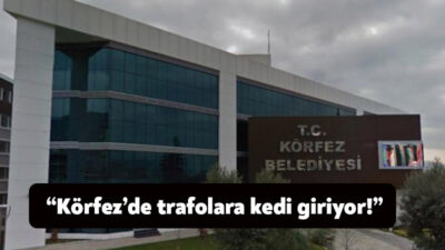 CHP Kocaeli Milletvekili Harun Özgür Yıldızlı, Körfez’de yaşanan elektrik kesintilerini
