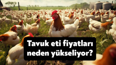 Kırmızı ette yaşanan krizin benzeri tavuk etinde de patlak verdi.
