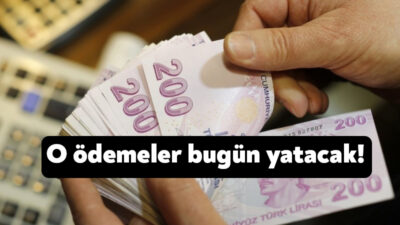 Aile ve Sosyal Hizmetler Bakanı Mahinur Özdemir Göktaş "Türkiye Aile