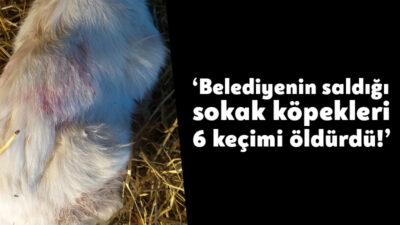 İl Genel Meclisi eski üyesi ve Biberoğlu Köy Muhtarı Ahmet