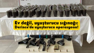 Derince jandarma ekiplerince bir evde yapılan operasyonda 580 kök kenevir