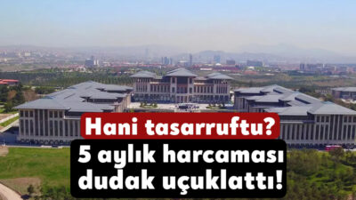 Türkiye'de Merkez Bankası'nın tarihi zarar açıklaması, Kur Korumalı Mevduat sisteminin