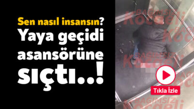 Kocaeli'nin İzmit ilçesinde bu sabah saatlerinde kaydedilen görüntüler mide bulandırdı.