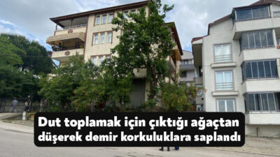 Kocaeli'de dut toplamak için ağaca çıkan şahıs dengesini kaybetmesi neticesinde