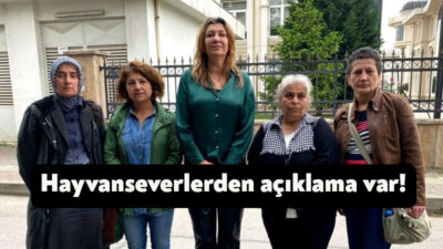Kocaeli'de Valiliğin sokak hayvanlarıyla ilgili alınacak tedbirlere ilişkin yaptığı açıklamaya