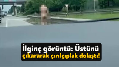 Kocaeli D130 Karayolu'nda bir şahıs, üstünü çıkararak çırılçıplak dolaştı. O