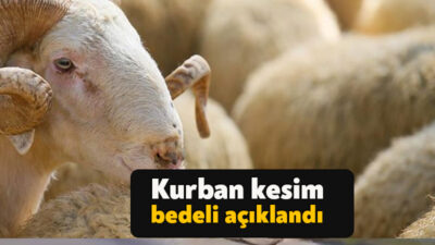 Kurban Bayramı yaklaşırken, kurban kesim bedelleri de merak ediliyordu. Diyanet