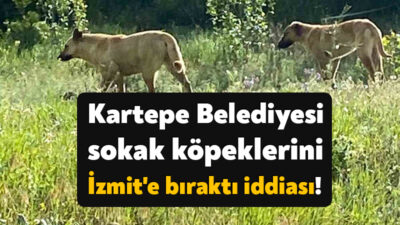 İzmit Belediyesi, Kartepe Belediyesi’ne ait bir aracın, bugün kendi ilçesindeki sokak köpeklerini toplayarak