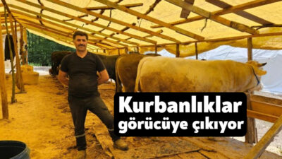 Başiskele Belediyesi, Kurban Bayramı öncesinde küçükbaş ve büyükbaş hayvan satışı