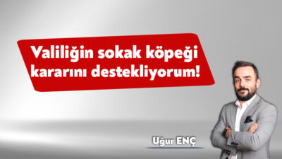 Geçtiğimiz hafta her yıl baharda yaşadığım heyecanla kalktım yataktan. Sonra