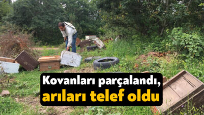 Kocaeli'nin Körfez ilçesinde Ramazan Ergin'e ait arı kovanları parçalandı, arıları