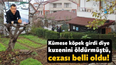 Kocaeli'nin İzmit ilçesinde babasıyla tartışan kuzenini tabanca ile vurarak öldüren