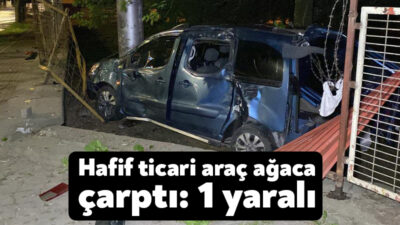 İzmit'te kontrolden çıkan hafif ticari aracın ağaca çarpması neticesinde meydana