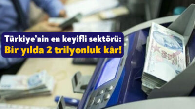Bankacılık Düzenleme ve Denetleme Kurumu(BDDK) bankacılık sektörünün verilerini açıkladı. BDDK
