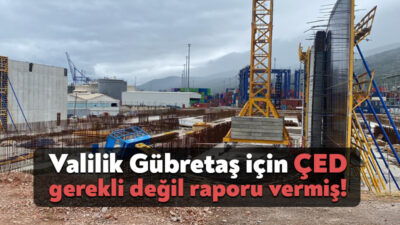 1 Mayıs'ta Körfez'deki Gübretaş depolama tesisinde vinç devrilmesi sonucunda 1'i