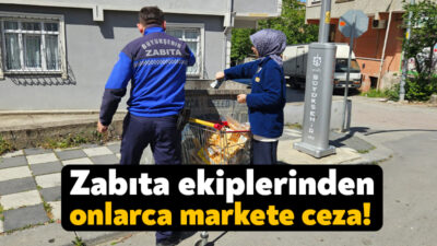 Kocaeli Büyükşehir Belediyesi Zabıta ekipleri son bir hafta içerisinde 250