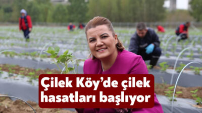 İzmit Belediyesi, Çayırköy Mahallesi’nde bulunan Çilek Köyü’nde 23 Mayıs Perşembe