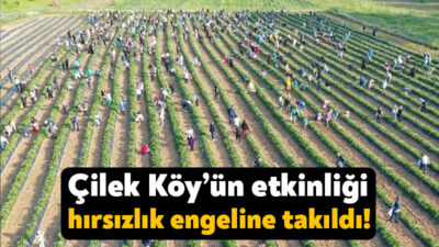 İzmit Belediyesi'nin Çayırköy Mahallesi'nde hayata geçirdiği 12 bin dönümlük Çilek