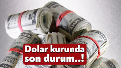 Dolar, Euro gibi evrensel para birimleriyle ve altın kuruyla ilgilenen