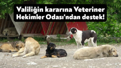 Kocaeli Valiliği gelen şikayetler üzerine 5199 Sayılı Hayvanları Koruma Kanunu