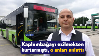 Kocaeli'nin Derince ilçesinde kullandığı halk otobüsünü durdurarak yol kenarındaki kaplumbağayı