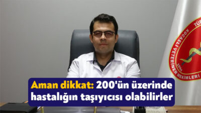 Sıcak havalarda insanların kabusu olan ve kan emerek beslenen