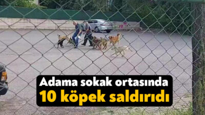 Kocaeli'nin İzmit ilçesinde çocuk parkının önünde bir vatandaşa 10