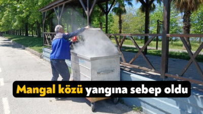 Ömer Türkçakal Bulvarı'nda çöp konteynerine atılan mangal közü yangına sebep