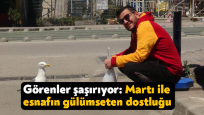 Kocaeli'de tekel bayisine gelen martı, kendisini balıkla besleyen işletme sahibinin