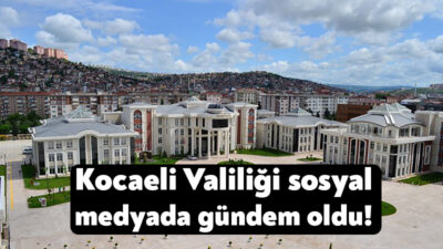 Kocaeli Valiliği'nin sokak köpekleri ile ilgili verdiği karar sosyal medyanın