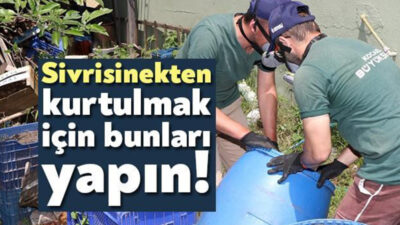 Kocaeli Büyükşehir Belediyesi halk sağlığının korunması amacıyla sivrisineklerle mücadele çalışmalarına