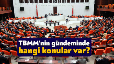 Türkiye Büyük Millet Meclisi bu hafta 7 Mayıs'ta çalışmalarına başlayacak.
