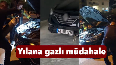 Kocaeli'nin İzmit ilçesinde otomobile giren yılan hem korkuttu hem