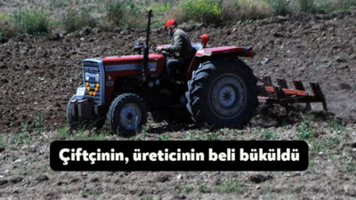 Gıda enflasyonuna doğrudan etki eden tarımsal girdi endeksi üst üste