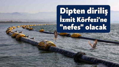 Dip çamurunun temizlenmesi için çalışmaların devam ettiği İzmit Körfezi'nde, 23