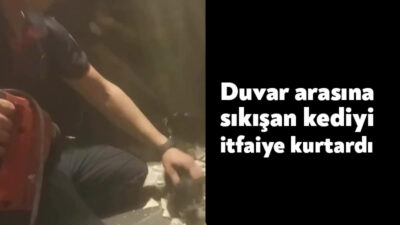 Kocaeli'nin İzmit ilçesinde 2 duvar arasına sıkışan kedi sesini duyan