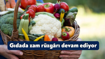 Türkiye Ziraat Odaları Birliği (TZOB) Genel Başkanı Şemsi Bayraktar, Mayısta