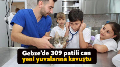 Gebze Belediyesi’nin Pelitli’de hizmete açtığı Sokak Hayvanları Bakım ve Rehabilitasyon