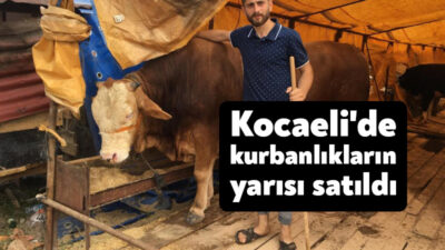 Kurban Bayramına son bir hafta kala hayvan satışlarıda son hız