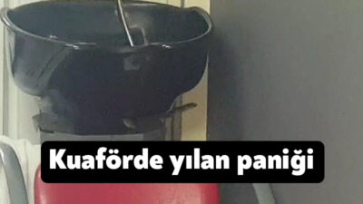 Kocaeli'nin Kartepe ilçesinde kadın kuaföründeki saç yıkama koltuğuna giren yılan