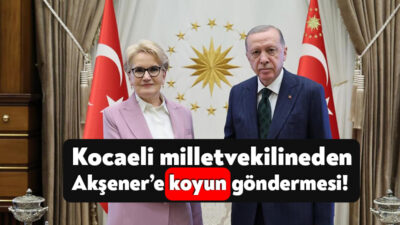 Cumhurbaşkanı Recep Tayyip Erdoğan ile eski İYİ parti Genel başkanı