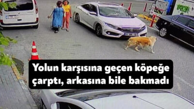 Kocaeli'de otomobil sürücüsü, yolun karşısına geçmeye çalışan köpeği görünce hızlanarak