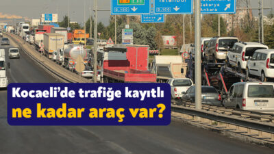 Türkiye İstatistik Kurumu mayıs ayındaki motorlu kara taşıtlarına ilişkin verilerini