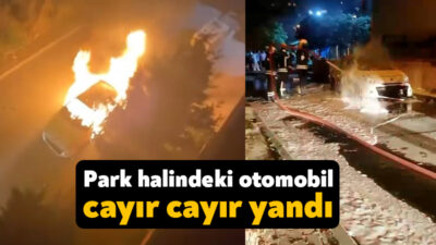 Kocaeli'nin Çayırova ilçesinde park halindeki otomobilde yangın çıktı. Otomobil alev