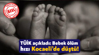 Türkiye İstatistik Kurumu illere göre bebek ölüm hızları ile kaba