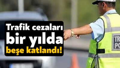 Emniyet güçlerinin geçen yıl mayıs ayından 2024 yılının haziran ayına
